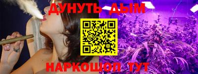 индика Пушкино